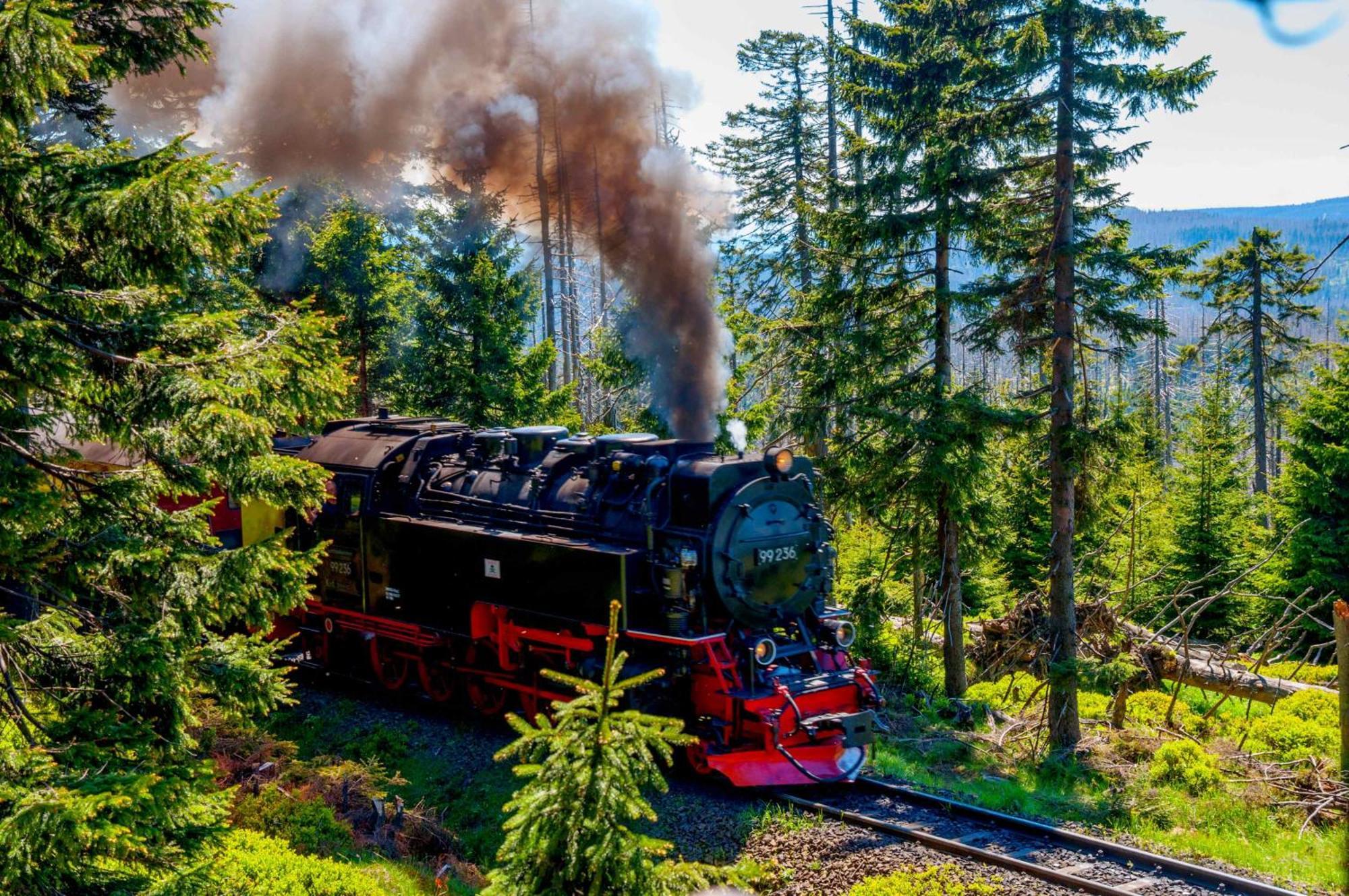 Regiohotel Am Brocken Hotel