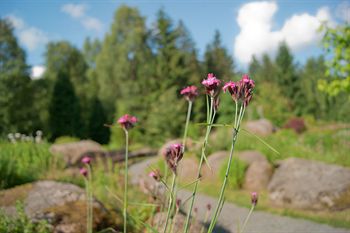 Regiohotel Am Brocken 3*
